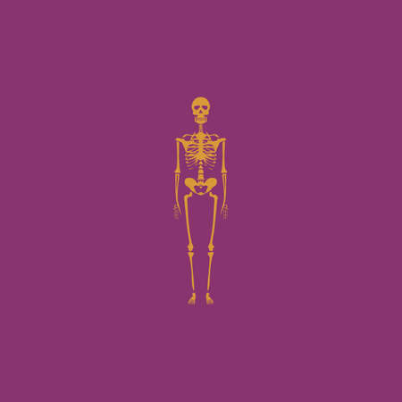 Skeletons - human bones. Colorful vector icon. Simple retro color modern illustration pictogram. Collection concept symbol for infographic project and logoのイラスト素材