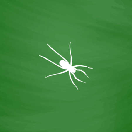 Spider. Flat Icon. Imitation draw with white chalk on green chalkboard. Flat Pictogram and School board background. Vector illustration symbolのイラスト素材