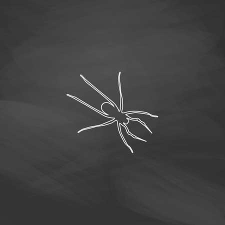 Spider Simple line vector button. Imitation draw with white chalk on blackboard. Flat Pictogram and School board background. Outine illustration iconのイラスト素材