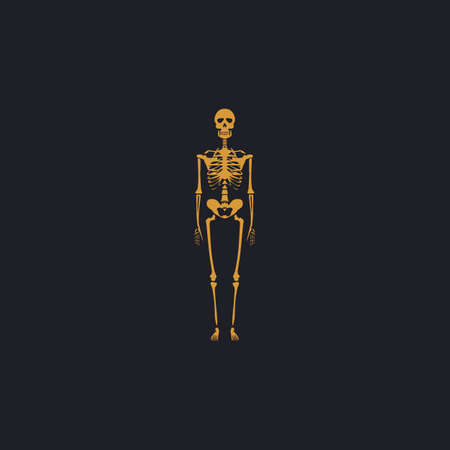 Skeleton Color vector icon on dark backgroundのイラスト素材