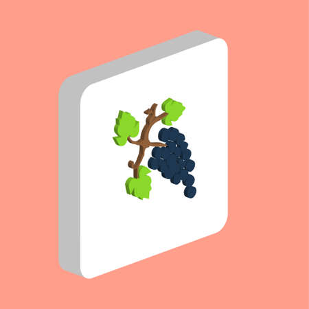 Grape Vine Simple vector icon. Illustration symbol design template for web mobile UI element. Perfect color isometric pictogram on 3d white square. Grape Vine icons for business projectのイラスト素材