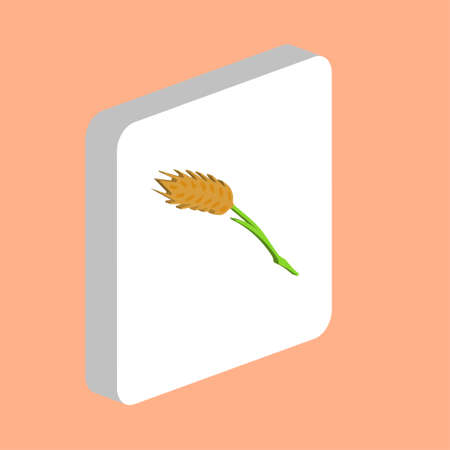 Wheat Simple vector icon. Illustration symbol design template for web mobile UI element. Perfect color isometric pictogram on 3d white square. Wheat icons for business projectのイラスト素材