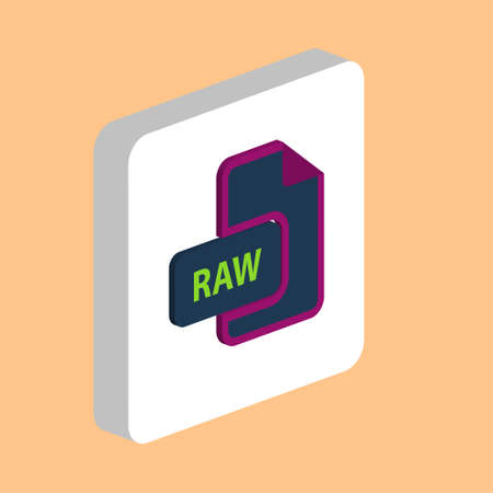 RAW document Simple vector icon. Illustration symbol design template for web mobile UI element. Perfect color isometric pictogram on 3d white square. RAW document icons for business projectのイラスト素材