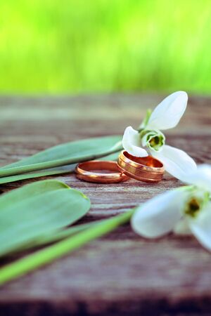 Wedding rings and snowdrops on wooden background and green grass in rasfokusの写真素材
