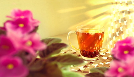 Glass cup of black tea on a wooden background. Morning. The sun's rays shine through the wooden lattice into the room. Pink flowers of violets on the foreground are blurred and out of focus.の写真素材