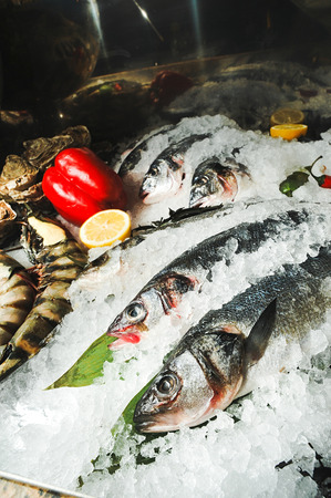 Seafood on ice. Fresh frozen fish on ice with lemon and red peppers and prawns. Fresh fish on white ice.の写真素材