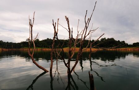 water reflectionの写真素材