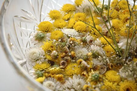 Small chrysanthemums in a glass plate with waterの写真素材
