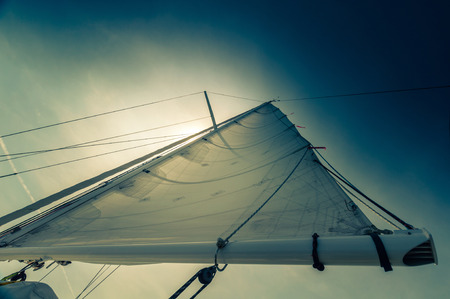 Bottom view of the sail