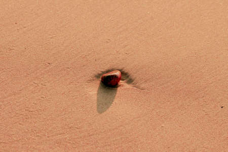 Stone shadows play in the sand,の写真素材