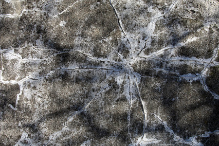 Cracked concrete wall with white fissures and tree branch shadows, creating a textured, abstract...