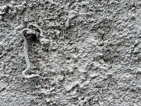 Close-up of a rough gray concrete wall with a rusty metal hook embedded in the surface, showing rugged texture and industrial detail.の写真素材