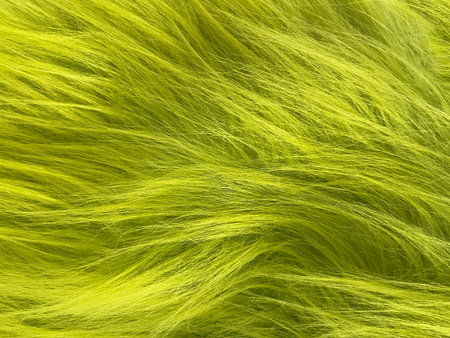 Close-up of bright yellow-green fur or hair, showing soft, fluffy texture and individual strands, ideal for backgrounds, textiles, or abstract design concepts.の写真素材