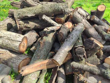 A pile of wood from wood for heating. Firewood on a background of green grass. Gardeningの写真素材