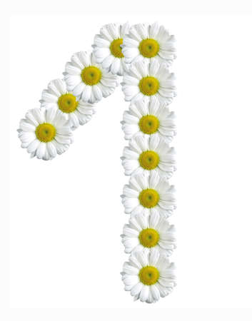 figure one of flowers daisies on a white background
