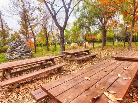 Autumn of Suyeong River , Busan, South Korea Asiaの写真素材