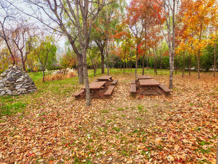 Autumn of Suyeong River , Busan, South Korea Asiaの写真素材