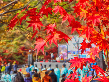 Baptism at Maple Festival in Piagol, Jirisan Mountain, Guerye, Jeonnam, South Korea, Asia