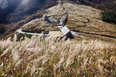 Ganwoljae Eogsae Festival in Sinbulsan Mountain, Uljugun, Ulsan, South Korea, Asia