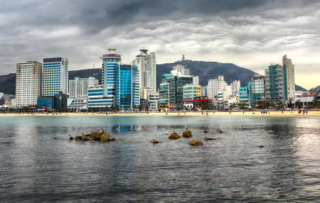Seagulls on rocks in Gwangalli Beach, Busan, South Korea, Asiaの写真素材