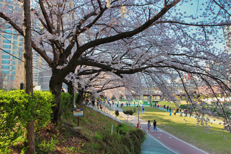 Spring of Oncheoncheon Citizens Park, Busan, South Korea, Asiaのeditorial素材