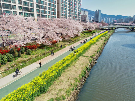 Spring of Oncheoncheon Citizens Park, Busan, South Korea, Asiaのeditorial素材