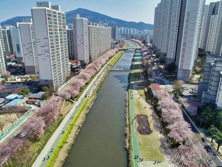 Spring of Oncheoncheon Citizens Park, Busan, South Korea, Asia