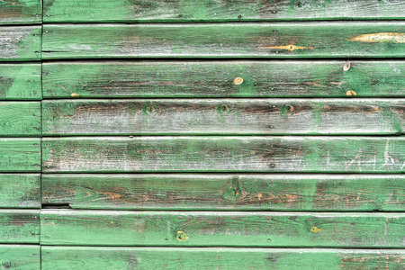 Green wooden texture as background artの写真素材