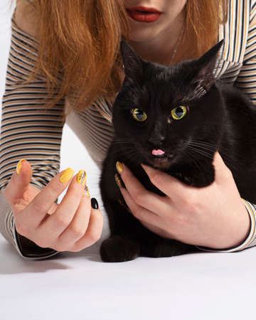 girl with black mischievous cat on white. almost isolate artの写真素材