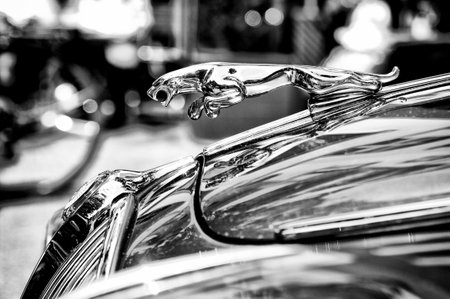 The symbol car Jaguar  Black and White , the exhibition  125 car history - 125 years of history Kurfurstendamm , May 28, 2011 in Berlin, Germanyのeditorial素材