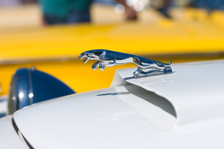 The emblem on the hood of the roadster Panther Kallista - Jumping Panther,  The oldtimer show  in MAFZ, May 26, 2012 in Paaren im Glien, Germanyのeditorial素材