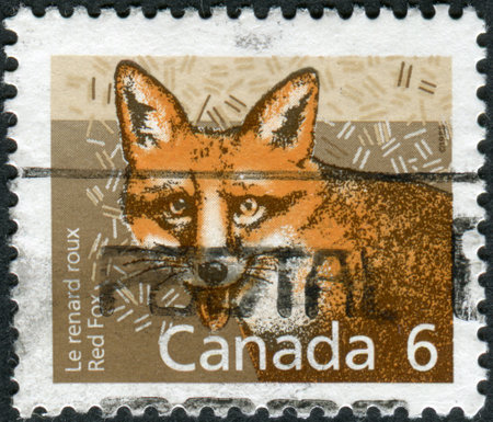 CANADA - CIRCA 1988: Postage stamp printed in Canada shows the mammal Red Fox, circa 1988のeditorial素材