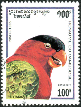 CAMBODIA - CIRCA 1995: A stamp printed in Cambodia shows parrot the Black-capped Lory (Lorius lory), circa 1995のeditorial素材