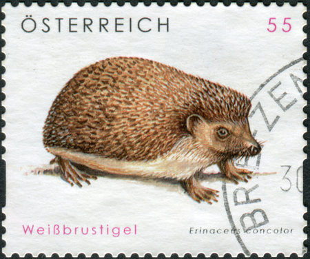 AUSTRIA - CIRCA 2008: Postage stamp printed in Austria, shows a southern white-breasted hedgehog (Erinaceus concolor), circa 2008のeditorial素材