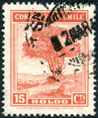 CHILE - CIRCA 1940: Postage stamp printed in Chile, shows Boldo tree (Boldea boldus), circa 1940のeditorial素材