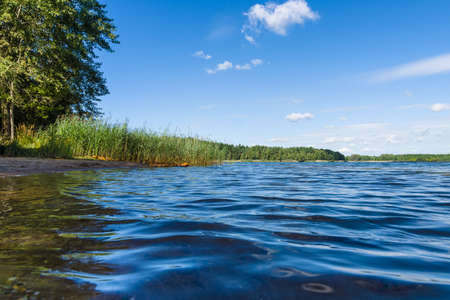 At the lake. Summer landscape.