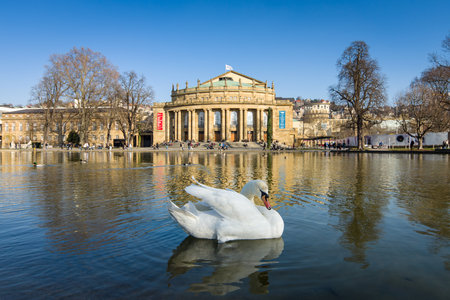 STUTTGART, GERMANY - MARCH 18, 2016: The Staatstheater Stuttgart (Stuttgart State Theatre) and Eckensee pond and white swan in the foreground.のeditorial素材
