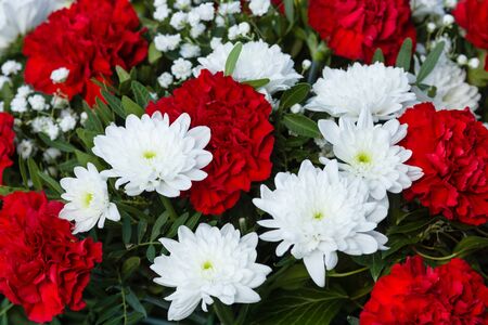 Background of fresh flowers.の写真素材