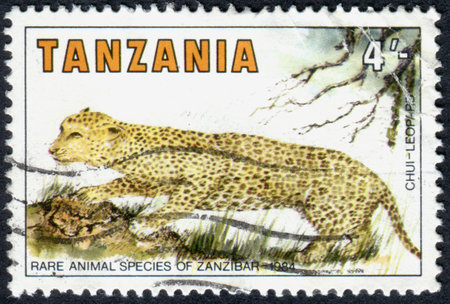 TANZANIA - CIRCA 1984: A stamp printed in Tanzania, dedicated to Rare Species of Zanzibar, shows a Leopard, circa 1984のeditorial素材