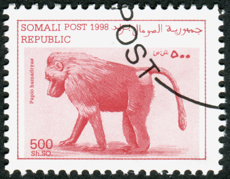 SOMALIA - CIRCA 1998: A stamp printed in Somalia, shows the animal Hamadryas baboon (Papio hamadryas), circa 1998のeditorial素材