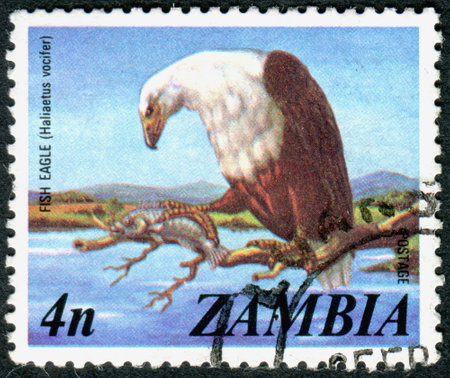 ZAMBIA - CIRCA 1975: A stamp printed in Zambia, shows the bird African Fish Eagle (Haliaeetus vocifer), circa 1975のeditorial素材