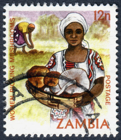 ZAMBIA - CIRCA 1983: A stamp printed in Zambia, is dedicated to Cultural Heritage, shows a Women picking mushrooms, circa 1983のeditorial素材