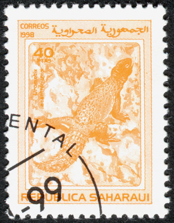 SAHRAWI REPUBLIC - CIRCA 1998: A stamp printed in Sahrawi Republic, shows the Bell's dabb lizard (Uromastyx acanthinura), circa 1998のeditorial素材