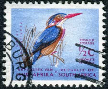 SOUTH AFRICA - CIRCA 1961: A stamp printed in South Africa, shows a bird African Pygmy Kingfisher (Ispidina picta), circa 1961のeditorial素材