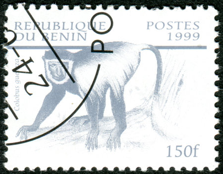 BENIN - CIRCA 1999: A stamp printed in Benin, shows the Guereza (Colobus guereza), circa 1999