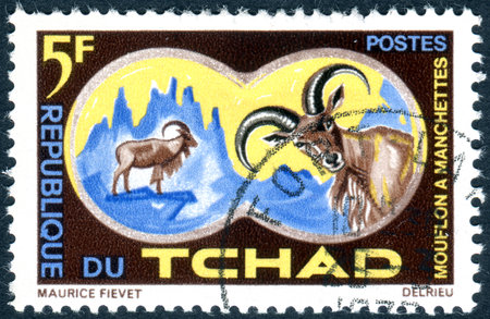 CHAD - CIRCA 1965: A stamp printed in Chad, shows the Barbary Sheep (Ammotragus lervia), circa 1965のeditorial素材