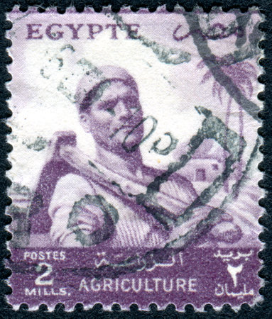 EGYPT - CIRCA 1954: A stamp printed in Egypt, shows a farmer, circa 1954のeditorial素材