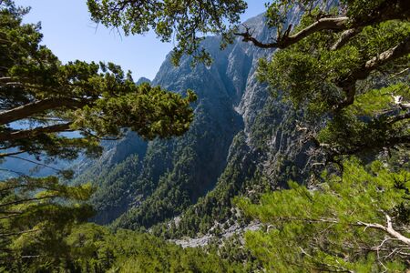 Samaria Gorge. Crete. Greece.の写真素材