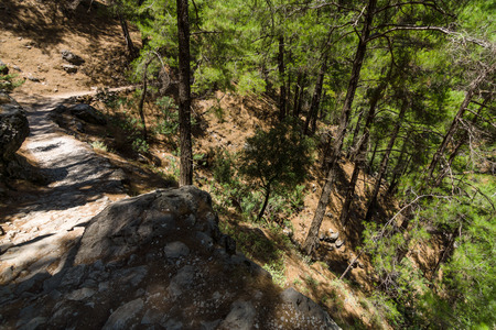 Samaria Gorge. Crete. Greece.の写真素材