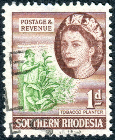 SOUTHERN RHODESIA - CIRCA 1953: A stamp printed in Southern Rhodesia, shows the cultivation of Nicotiana tabacum, circa 1953のeditorial素材